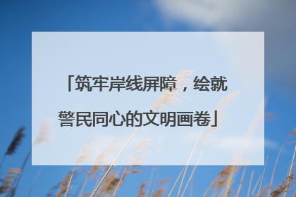 筑牢岸线屏障，绘就警民同心的文明画卷