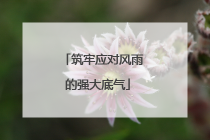 筑牢应对风雨的强大底气