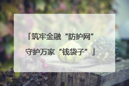 筑牢金融“防护网” 守护万家“钱袋子”