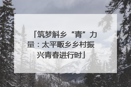 筑梦斛乡“青”力量：太平畈乡乡村振兴青春进行时