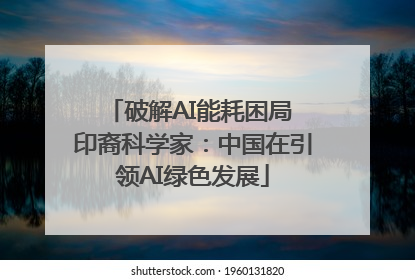 破解AI能耗困局 印裔科学家：中国在引领AI绿色发展
