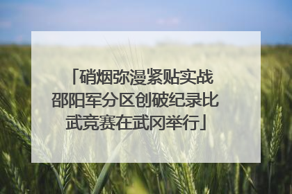 硝烟弥漫紧贴实战 邵阳军分区创破纪录比武竞赛在武冈举行