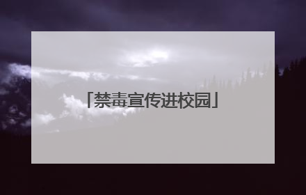禁毒宣传进校园