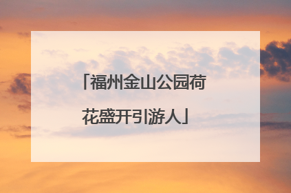 福州金山公园荷花盛开引游人