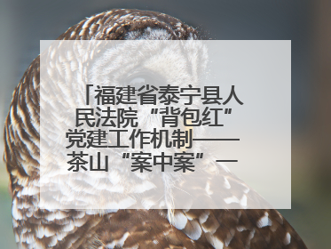 福建省泰宁县人民法院“背包红”党建工作机制——茶山“案中案”一揽子了结