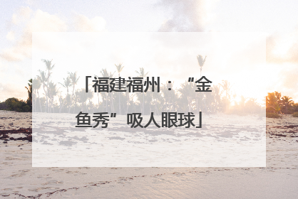 福建福州：“金鱼秀”吸人眼球
