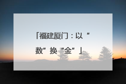 福建厦门：以“数”换“金”