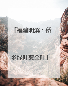 福建明溪：侨乡绿叶变金叶