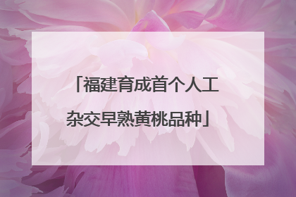 福建育成首个人工杂交早熟黄桃品种
