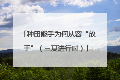 种田能手为何从容“放手”（三夏进行时）
