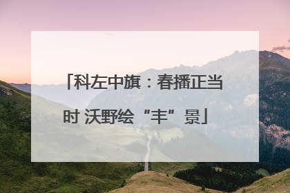 科左中旗：春播正当时 沃野绘“丰”景