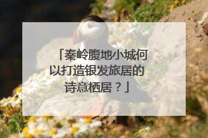 秦岭腹地小城何以打造银发旅居的诗意栖居？