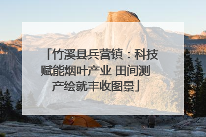 竹溪县兵营镇：科技赋能烟叶产业 田间测产绘就丰收图景