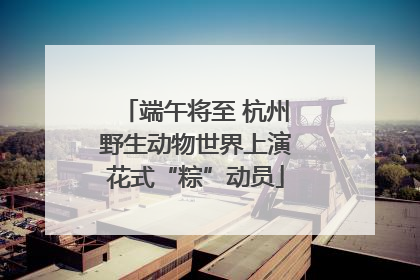端午将至 杭州野生动物世界上演花式“粽”动员