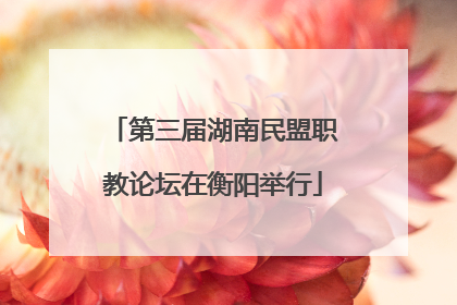 第三届湖南民盟职教论坛在衡阳举行