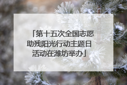 第十五次全国志愿助残阳光行动主题日活动在潍坊举办