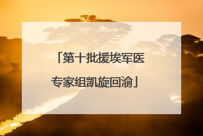 第十批援埃军医专家组凯旋回渝
