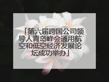第六届跨国公司领导人青岛峰会通用航空和低空经济发展论坛成功举办