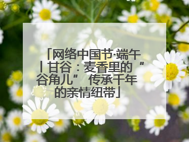 网络中国节·端午丨甘谷：麦香里的“谷角儿” 传承千年的亲情纽带