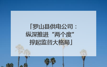 罗山县供电公司：纵深推进“两个度” 撑起监督大格局