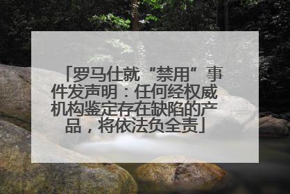 罗马仕就“禁用”事件发声明：任何经权威机构鉴定存在缺陷的产品，将依法负全责