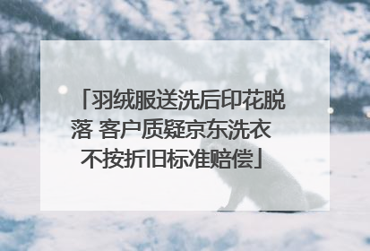 羽绒服送洗后印花脱落 客户质疑京东洗衣不按折旧标准赔偿