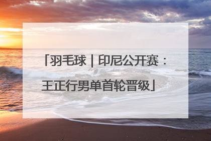 羽毛球｜印尼公开赛：王正行男单首轮晋级