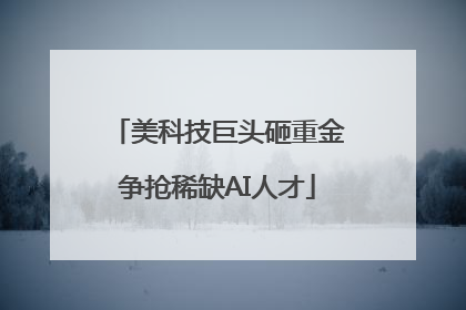 美科技巨头砸重金争抢稀缺AI人才