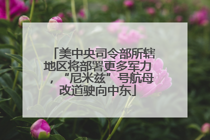 美中央司令部所辖地区将部署更多军力，“尼米兹”号航母改道驶向中东