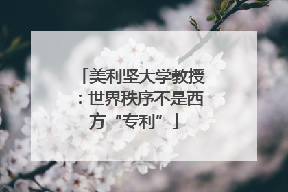 美利坚大学教授：世界秩序不是西方“专利”