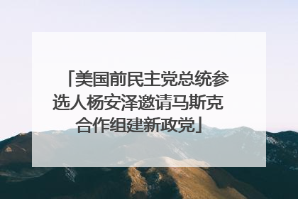 美国前民主党总统参选人杨安泽邀请马斯克合作组建新政党