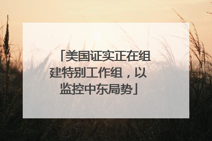美国证实正在组建特别工作组，以监控中东局势