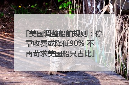 美国调整船舶规则：停靠收费或降低90% 不再苛求美国船只占比