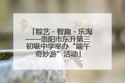 粽艺・智趣・乐淘——洛阳市东升第三初级中学举办“端午奇妙游”活动
