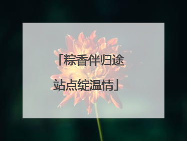 粽香伴归途 站点绽温情