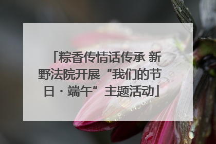 粽香传情话传承 新野法院开展“我们的节日・端午”主题活动