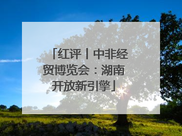 红评丨中非经贸博览会：湖南开放新引擎
