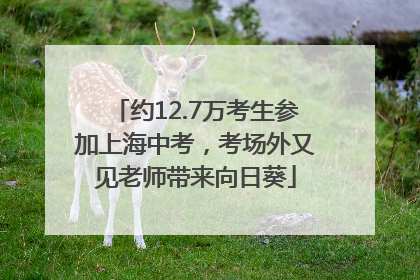 约12.7万考生参加上海中考，考场外又见老师带来向日葵