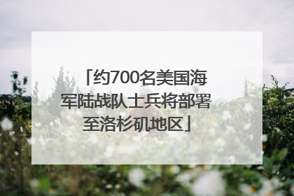 约700名美国海军陆战队士兵将部署至洛杉矶地区