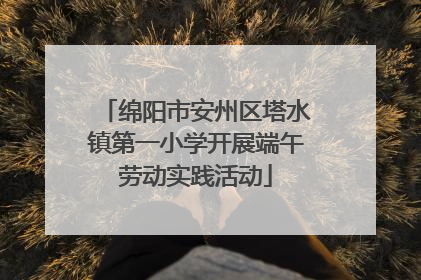 绵阳市安州区塔水镇第一小学开展端午劳动实践活动