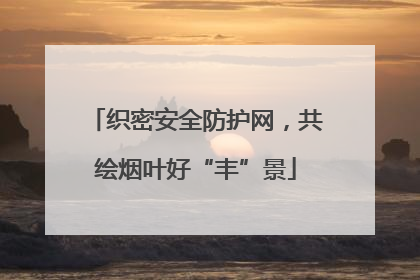 织密安全防护网，共绘烟叶好“丰”景