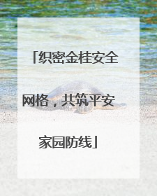 织密金桂安全网格，共筑平安家园防线
