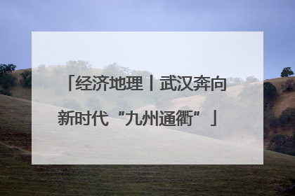经济地理丨武汉奔向新时代“九州通衢”