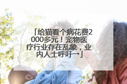 给猫看个病花费2000多元！宠物医疗行业存在乱象，业内人士呼吁→