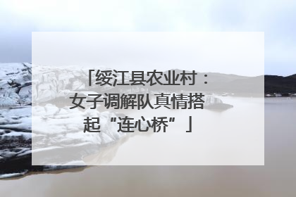 绥江县农业村：女子调解队真情搭起“连心桥”