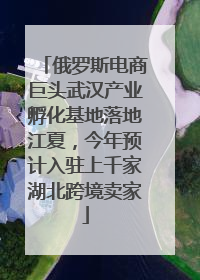 俄罗斯电商巨头武汉产业孵化基地落地江夏，今年预计入驻上千家湖北跨境卖家