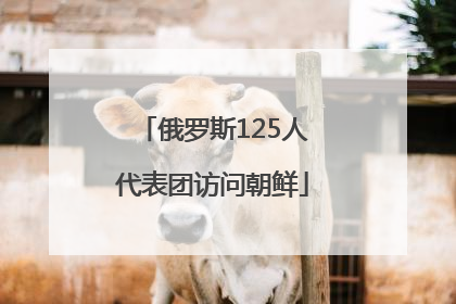俄罗斯125人代表团访问朝鲜