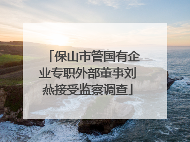 保山市管国有企业专职外部董事刘燕接受监察调查