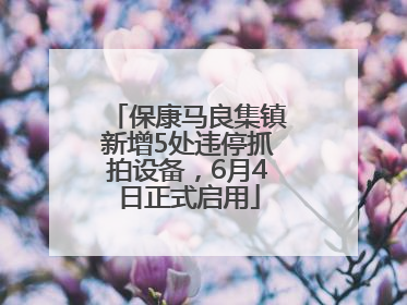 保康马良集镇新增5处违停抓拍设备，6月4日正式启用