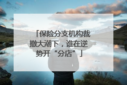 保险分支机构裁撤大潮下，谁在逆势开“分店”